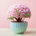 Memoria Emocional…Un potente activador de nuestros recuerdos